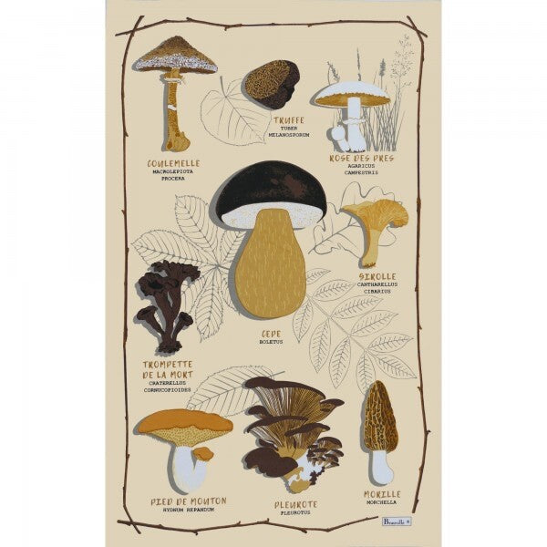 BEAUVILLE French Kitchen Dish Tea Towel Les Champignons Mushrooms Food