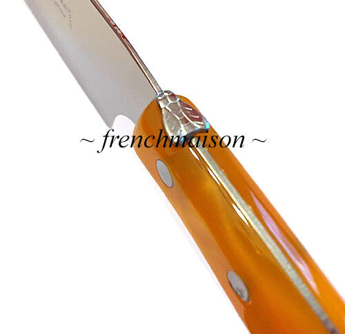 CLAUDE DOZORME Laguiole Bee Fine CHEESE Cleaver Best French Knife Gift Orange