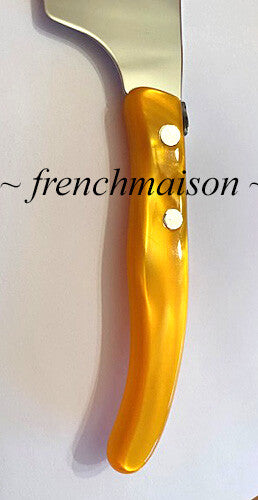 CLAUDE DOZORME Laguiole Bee Fine CHEESE Cleaver Best French Knife Gift Orange